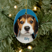 Personalized Pet, Dog