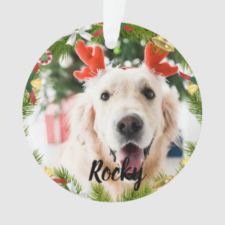 Personalized Pet Dog Christmas Photo Gift for here Ornament