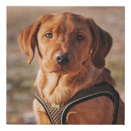 Personalized Pet Dog Custom Photo Faux Canvas Print