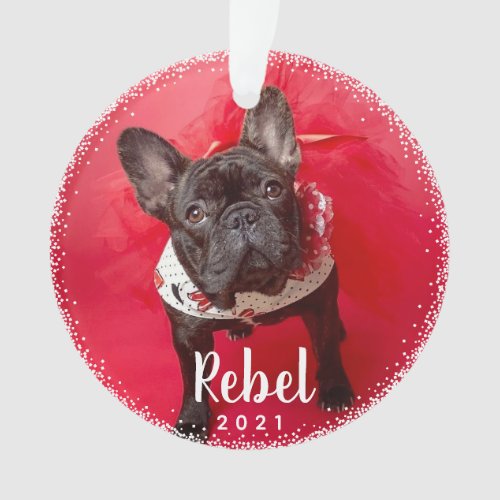 Personalized Pet Dog Holiday Photo Typography Ornament