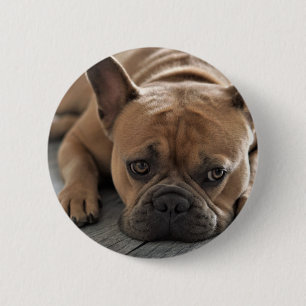 Personalized Pet Dog Photo Button