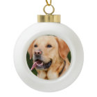 Personalized Pet Dog Photo