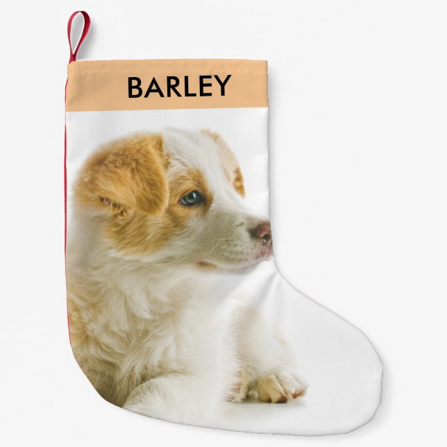 Personalized Pet Dog Photo Festive Holiday Cute  Small Christmas Stocking (Front)