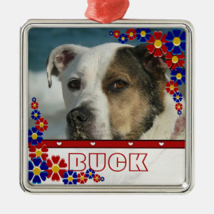Personalized Pet Dog Photo Frame Daisies Christmas Metal Ornament
