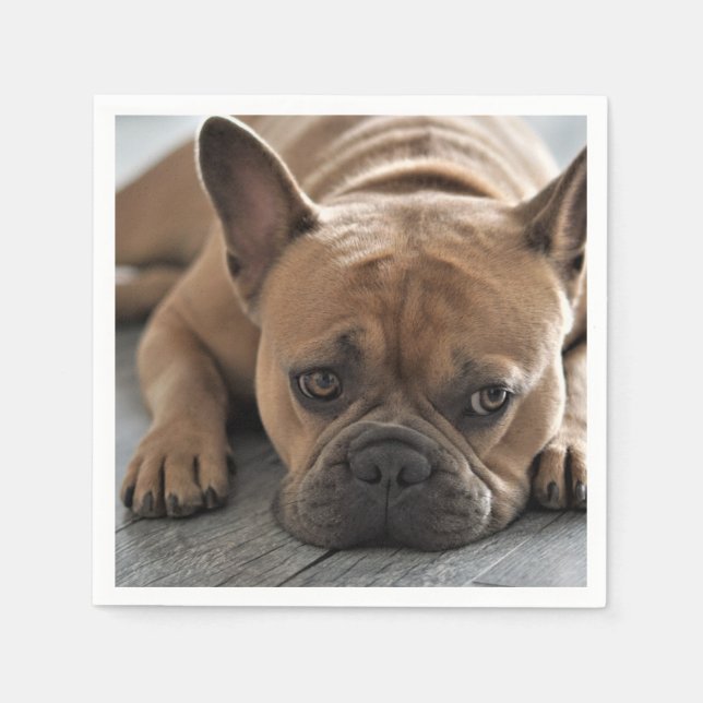 Personalized Pet Dog Photo Napkins (Front)