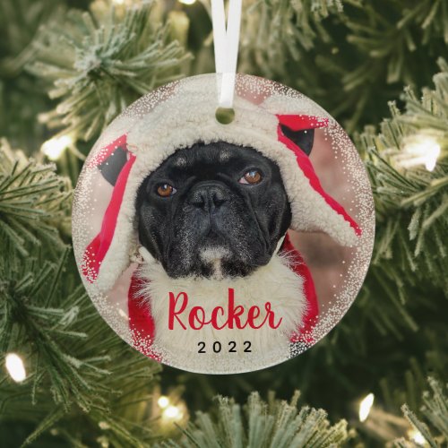 Personalized Pet Dog Puppy Holiday Glass Ornament
