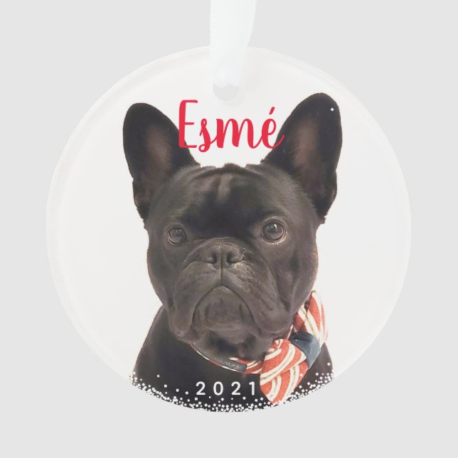 Personalized Pet Dog Puppy Holiday Photo Ornament (Front)