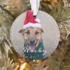Personalized Pet Dog Puppy Holiday Photo