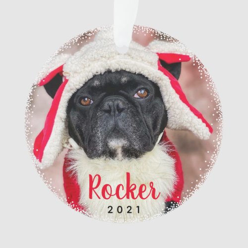 Personalized Pet Dog Puppy Holiday Photo Ornament