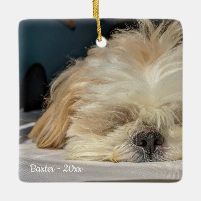 Personalized Pet Dog Puppy Ornament (Front)