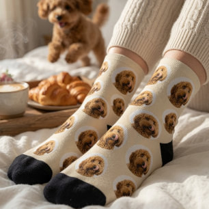 Personalized Pet Face Socks   Custom Dog Photo 