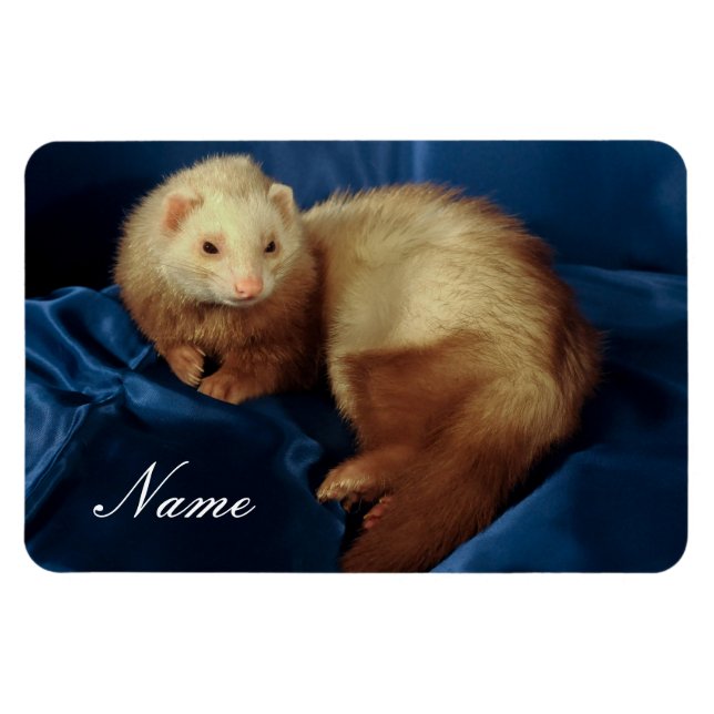 Personalized Pet Ferret Magnet (Horizontal)