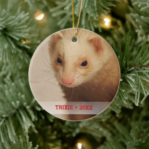 Personalized Pet Ferret Photo Name Christmas Tree Ceramic Ornament