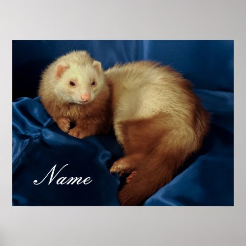 Personalized Pet Ferret Poster