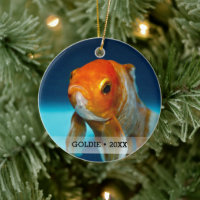 Personalized Pet Fish Photo Name Christmas Tree