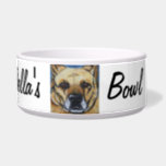 Personalized Pet Food Bowl<br><div class="desc">Give your furkids their own personalized food bowls! Copmpletly customizable, you can add a picture of your pet along with their name or a saying of your choice. You can also change the text color and font, easy peasy! The example here features a custom pet portrait painted in acrylic on...</div>