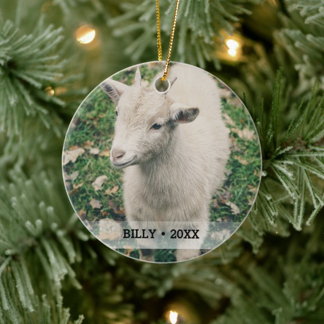 Personalized Pet Goat Photo Name Christmas Tree Ceramic Ornament (Tree)