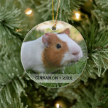 Personalized Pet Guinea Pig Photo Christmas Tree Ceramic Ornament<br><div class="desc">The perfect (double-sided) keepsake ornament for anyone who has a pet guinea pig or loves animals. Easily upload your guinea pig's photo (or any pet or person's photo) and add his name and year to create a special one-of-a-kind ornament. A gift that will be treasured by animal lovers for years...</div>