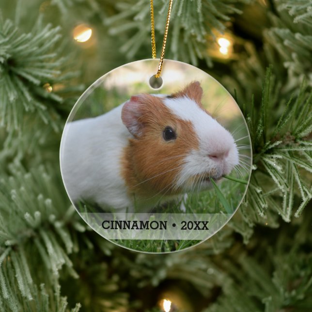 Personalized Pet Guinea Pig Photo Christmas Tree Ceramic Ornament (Tree)