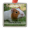 Personalized Pet Guinea Pig Photo Christmas Tree