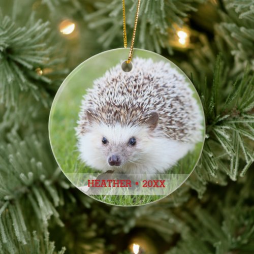 Personalized Pet Hedgehog Photo Christmas Tree Ceramic Ornament