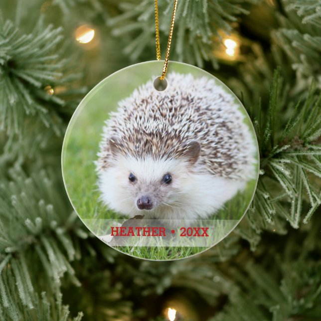 Personalized Pet Hedgehog Photo Christmas Tree Ceramic Ornament (Tree)