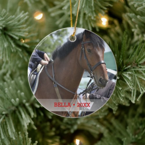 Personalized Pet Horse Photo  Name Christmas Tree Ceramic Ornament