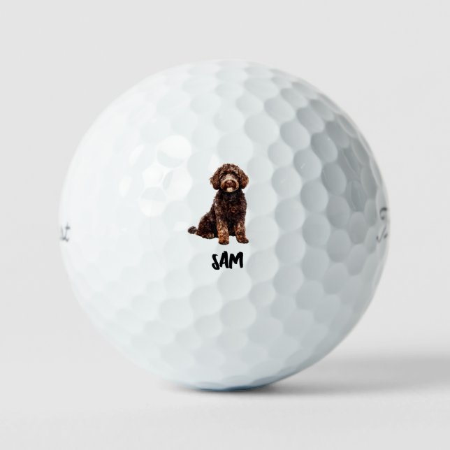 Personalized Pet Image Name Titleist Pro V1 Golf Balls (Front)