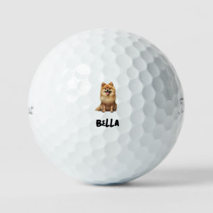 Personalized Pet Image Name Titleist Pro V1 II Golf Balls
