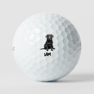 Personalized Pet Image Name Titleist Pro V1 II Golf Balls