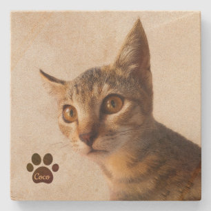 Personalized Pet Kitten Cat Dog Photo Template Stone Coaster