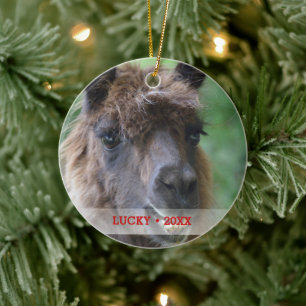 Personalized Pet Llama Photo & Name Christmas Tree Ceramic Ornament