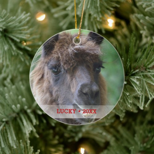 Personalized Pet Llama Photo  Name Christmas Tree Ceramic Ornament