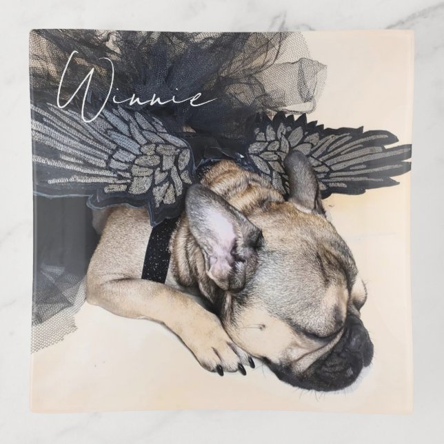 Personalized Pet Lover Dog Photo  Trinket Tray (Front)