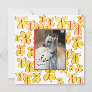 Personalized Pet Lovers Framed Photo Flat Card