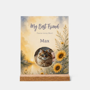 Personalized Pet Memorial Acrylic Plaque Sign
