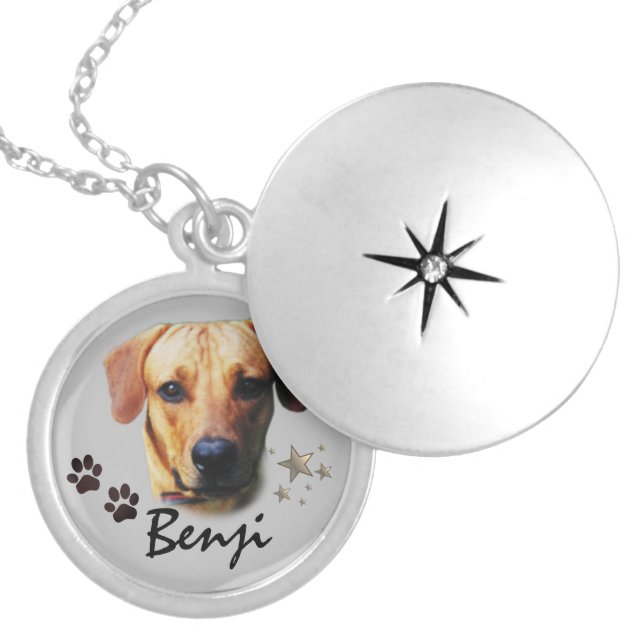 Personalized Pet Memorial Necklace (Front)