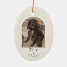 Personalized Pet Memorial Ornament | Dog & Cat