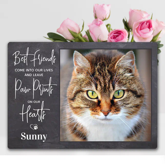 Personalized Pet Memorial Paw Prints Cat Photo Plaque | Zazzle