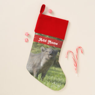 Personalized Pet Mini Pig Christmas Stocking