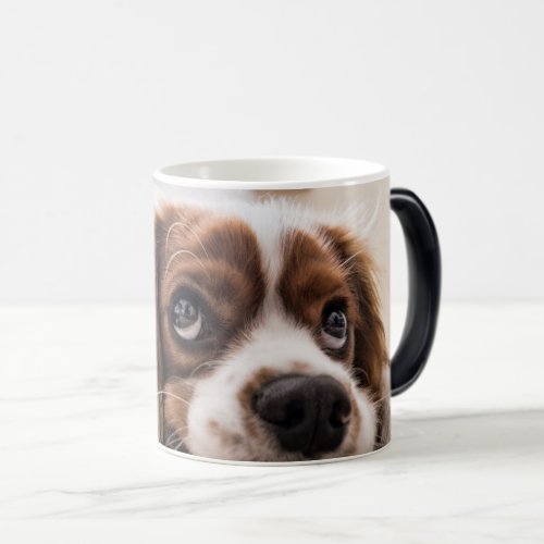Personalized Pet Morphing Mug _ Photo Reveal Mug