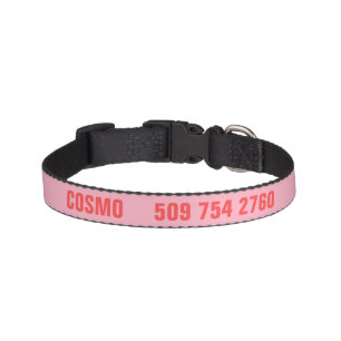 Personalized Pet Name and Phone Number Collar