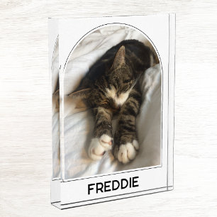 Personalized Pet Name Modern Arch Photo Block
