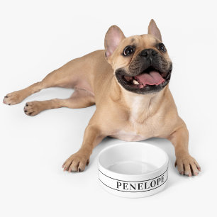 Personalized Pet Name Modern Custom Bowl