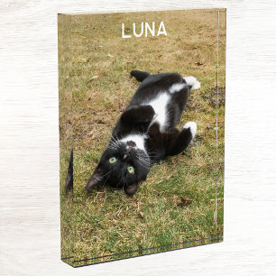 Personalized Pet Name Modern Photo Block