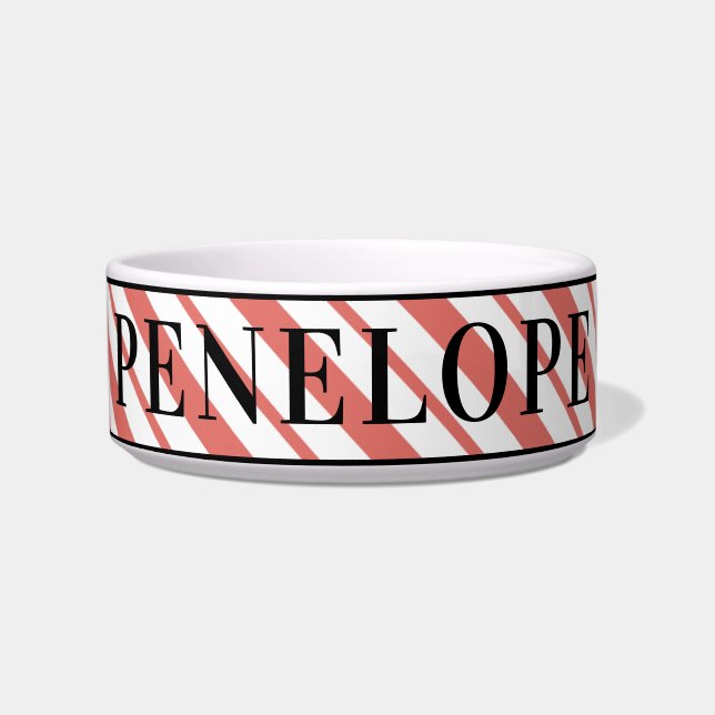 Personalized Pet Name Stripes Dog Bowl (Front)