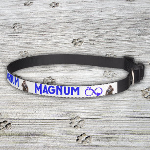 Personalized Pet Name with Image    Collar