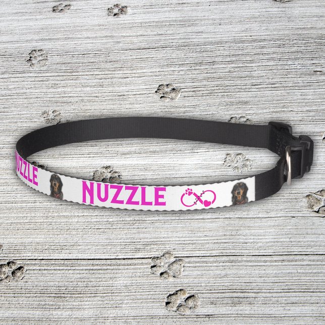 Personalized Pet Name with Image |  Collar (Creator Uploaded)