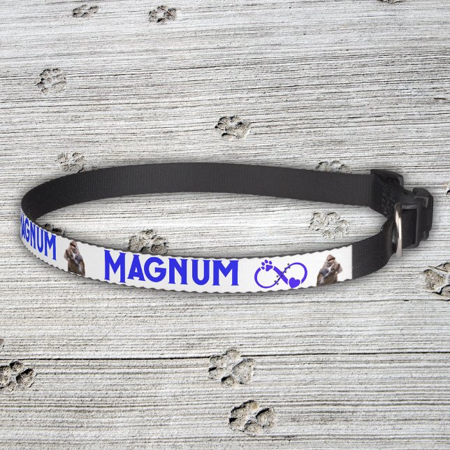 Personalized Pet Name with Image |  Pet Collar (Creator Uploaded)