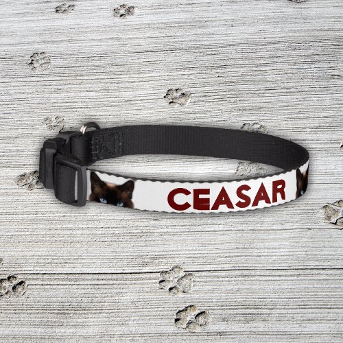 Personalized Pet Name with Image   Pet Collar